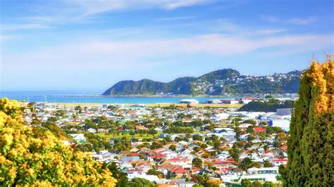 Wellington Tours .